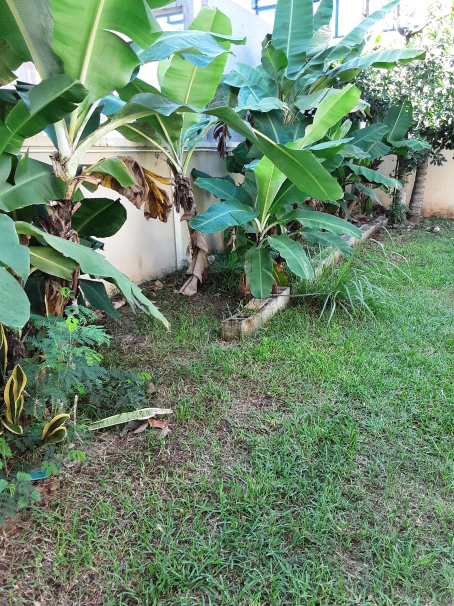 Bodhee Villa Grand Baie Bagian luar foto