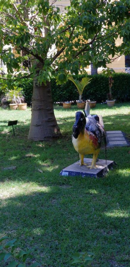 Bodhee Villa Grand Baie Bagian luar foto